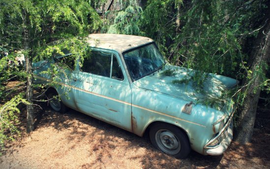 Weasley’s Flying Ford Anglia