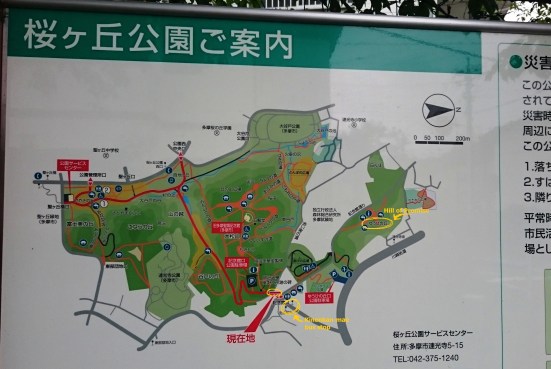 you can find this map at the entry of the park. take a moment to locate where you are.