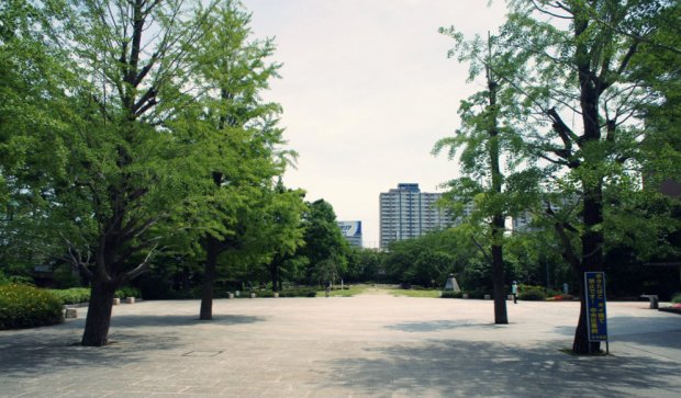 hamacho_park