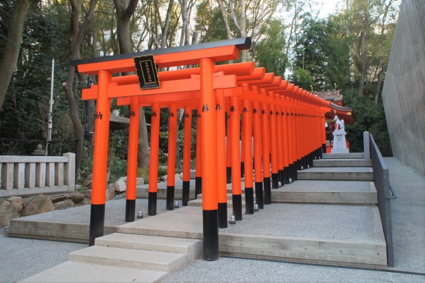 Ikuta-shrine_torii.JPG